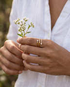 87447-0 - ringe
