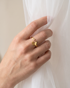 87829-0 - ringe